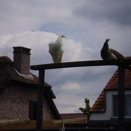 Vakantieverblijf-Beestenboel Retie Bagian luar foto