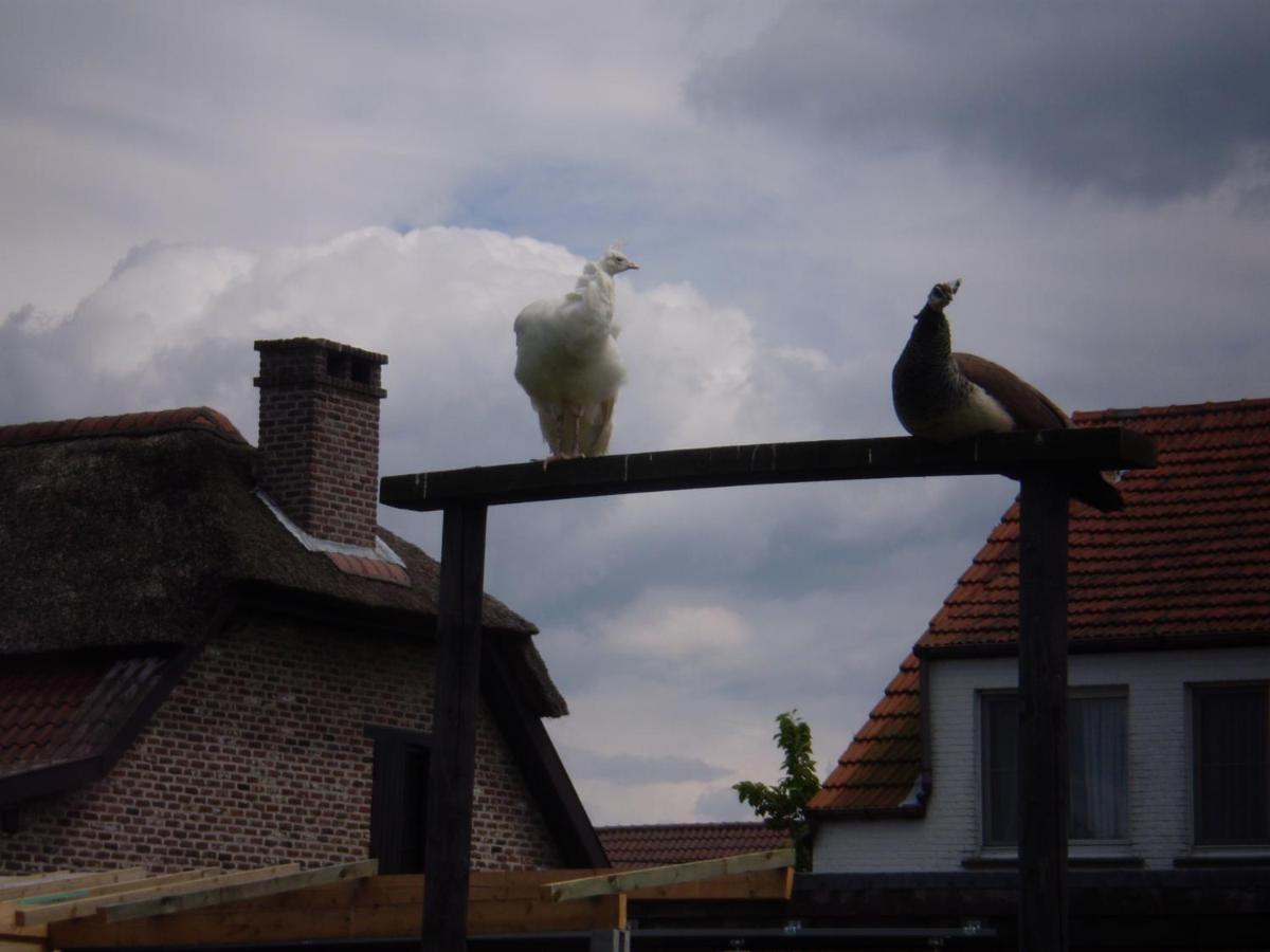 Vakantieverblijf-Beestenboel Retie Bagian luar foto