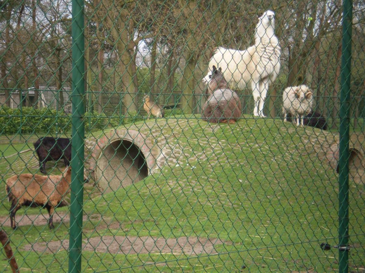 Vakantieverblijf-Beestenboel Retie Bagian luar foto